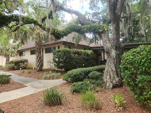 A view of a garden with a large tree